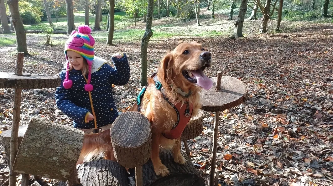 A child and a dog out in the woods on the Isle of Wight